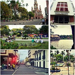 Palmira Valle Del Cauca